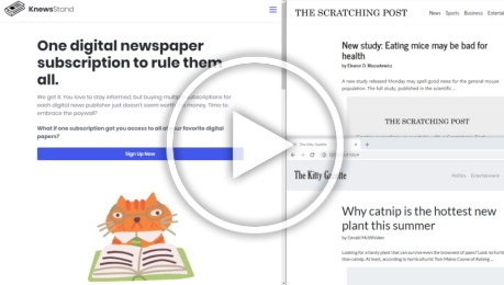 A screenshot of a web app for subscribing to multiple digital newspaper subscriptions
